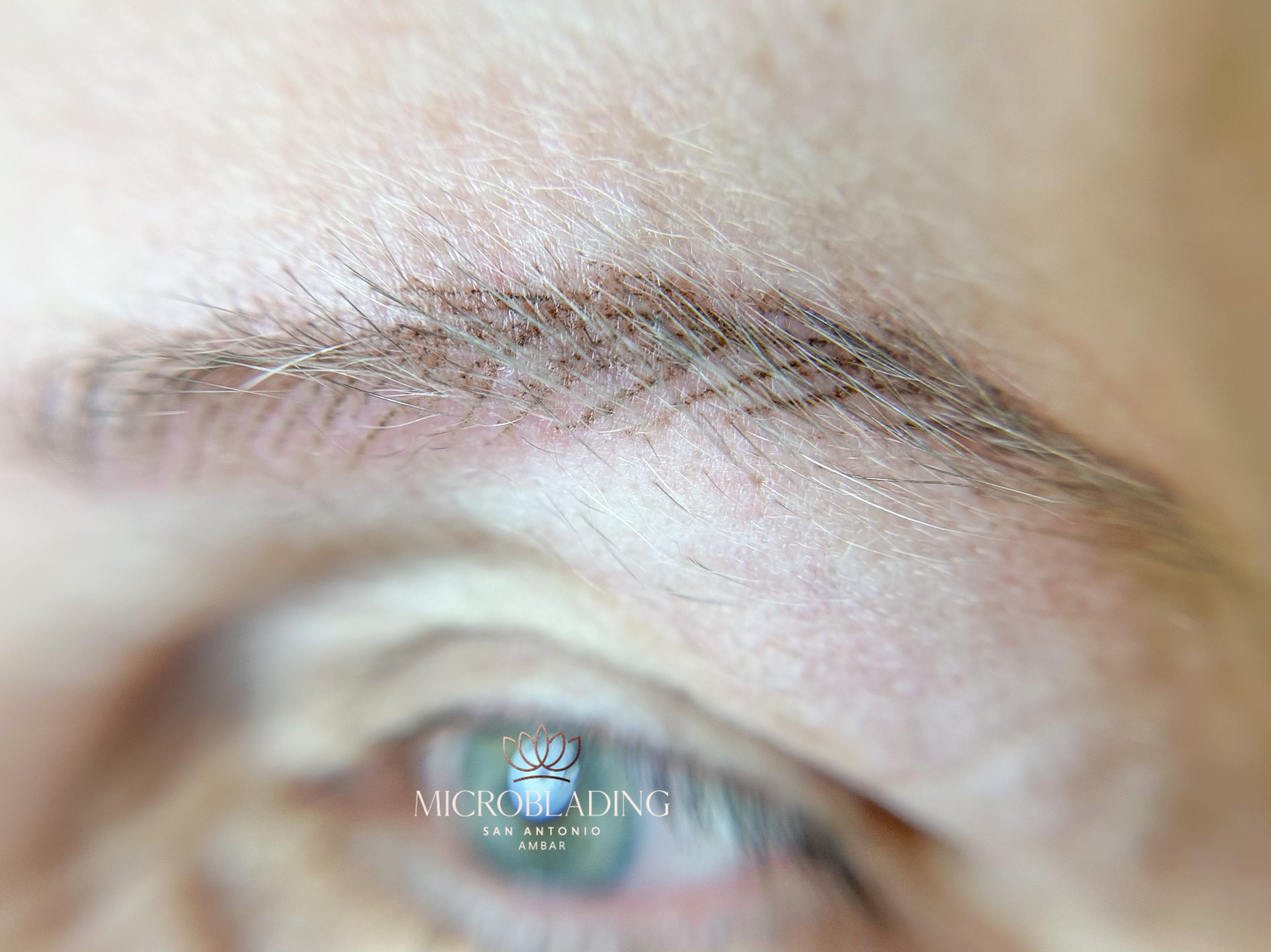 Nanobrows Around the World: A Global Canvas of Brow Styles - Soy Ambar ...